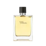 Hermes Terre D Hermes EDT 100ml