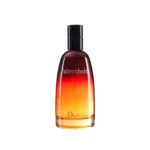 Christian Dior CD Fahrenheit EDT 100ml
