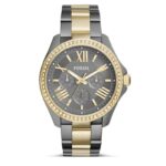 Fossil Cecile Multi-Function Crystallized Watch AM4631